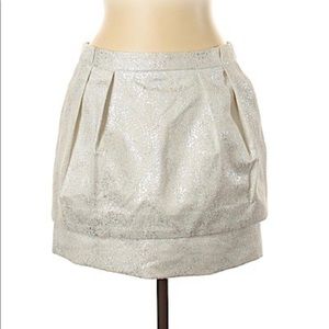 Zara Shimmering White Sparkle Brocade Skirt
